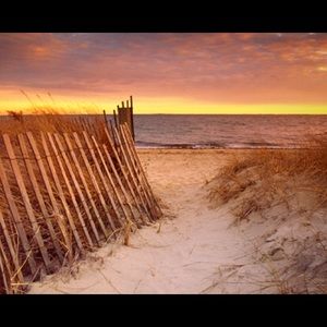 Meet your Posher, Geraldine